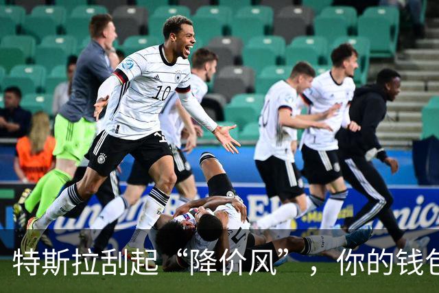 特斯拉刮起“降价风”，你的钱包准备好了吗？
