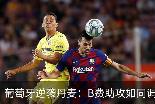 葡萄牙逆袭丹麦：B费助攻如同调味剂，精彩不断！